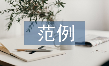 財務(wù)分析范例