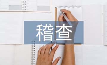 稽查中隊(duì)工作計(jì)劃