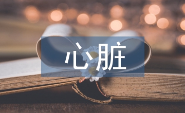 實用心臟超聲診斷學(xué)