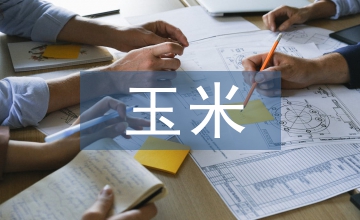 玉米覆膜寬窄行穴播栽培技術(shù)綜合效應(yīng)