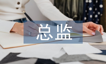 人力資源總監(jiān)總結