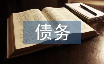 公立醫(yī)院債務(wù)情況匯報